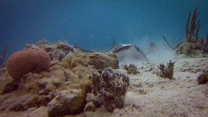stthomas5.jpg